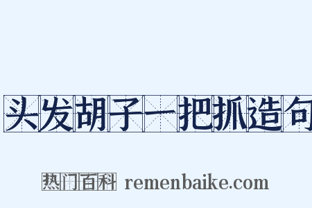 头发胡子一把抓造句是什么意思的图片